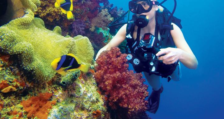 Productafbeelding GoPro Red Dive Filter für Standard- und Blackout-Gehäuse (GoPro Hero 3/3+/4)
