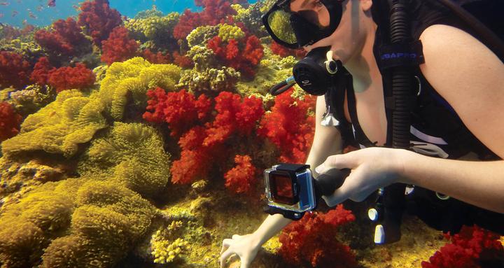 Productafbeelding GoPro Red Dive Filter für Standard- und Blackout-Gehäuse (GoPro Hero 3/3+/4)