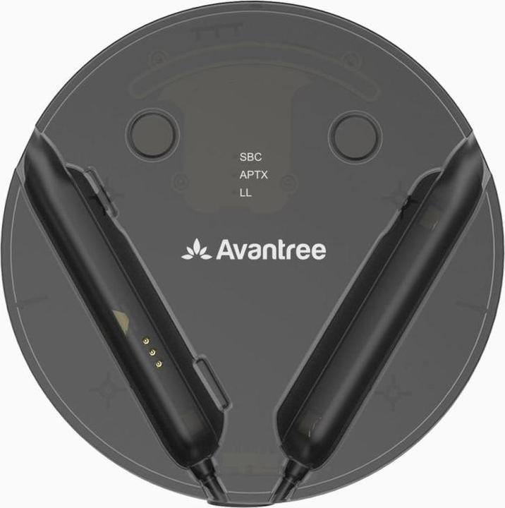 Actual product image Avantree BTHT-6018 (NC, 20 h, Wireless)