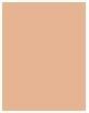 Actual product image Chanel Les Beiges Eau De Teint (Medium Plus)