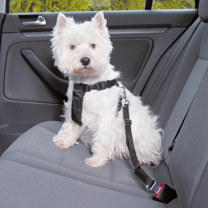 Produktbild Jolly Paw Jollypaw - Hundezubehör - Auto-Geschirr - Grösse S 30-60 cm - schwarz (Hund)