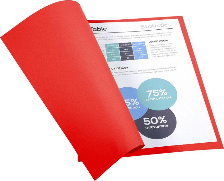 Produktbild Exacompta Sammelmappen - Aktendeckel (24 x 32 cm, 50 x)