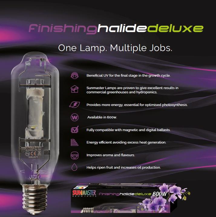 Produktbild Philips MST SON-T PIA Plus 250W E E40 1SL/12 (E40, 250 W, 33000 lm, 1 x, A)