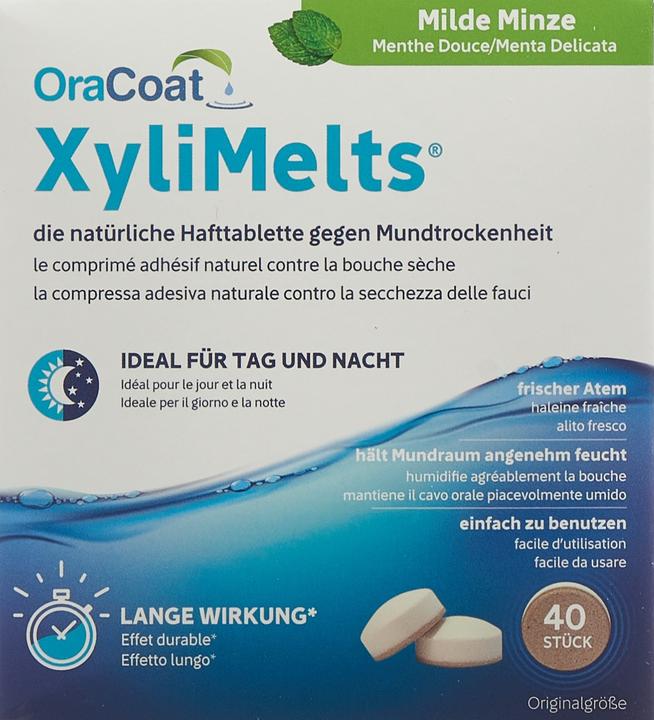 Actual product image Xylimelts Hafttabletten gegen Mundtrockenheit milde Minze (40 x, 270 ml, 59 g)