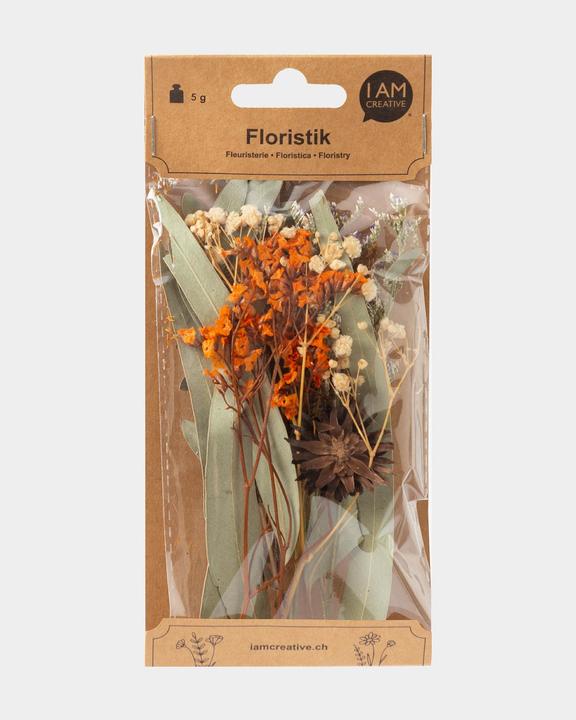 I Am Creative Set di fiori secchi (Fiori secchi)