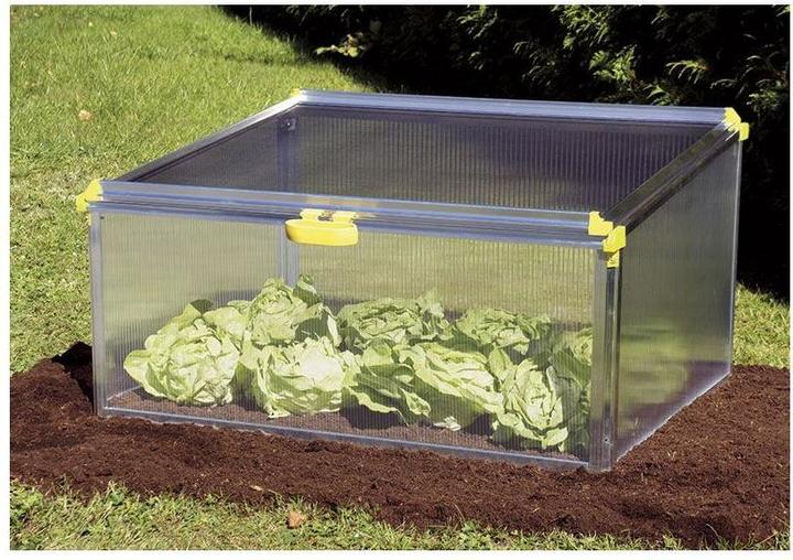 Produktbild Juwel Biostar Protect