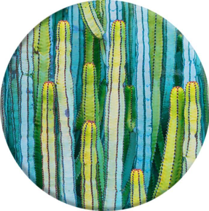 Produktbild PopSockets Cactus Patch