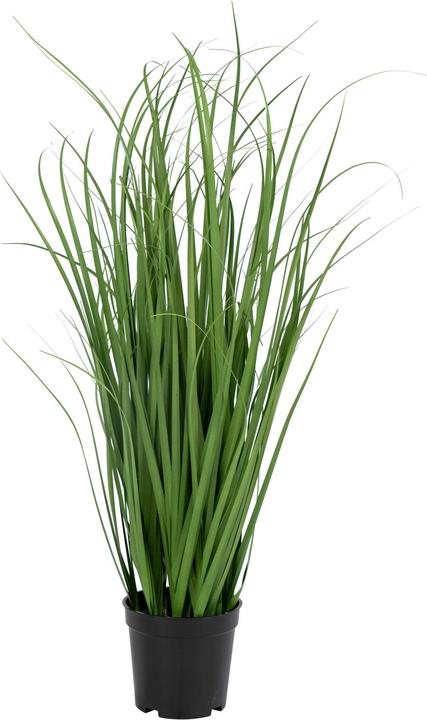 Immagine prodotto House Nordic Poa (68 cm)
