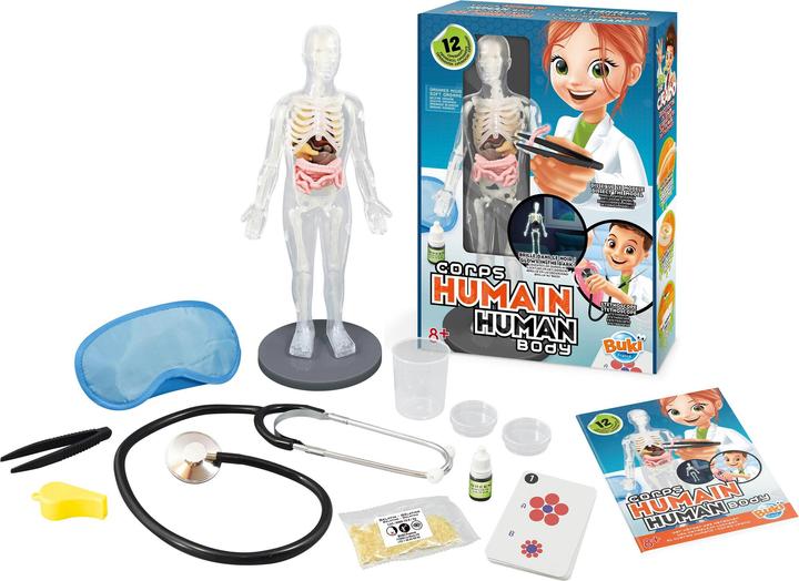 Produktbild Buki Der Körper des Menschen
