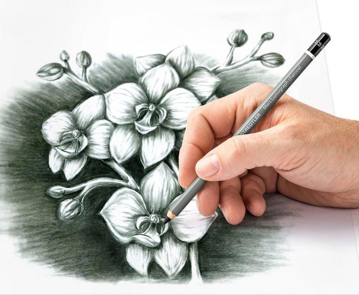 Actual product image Staedtler Charcoal pen Mars Lumograph charcoal, hardness: M (M, 1 x)