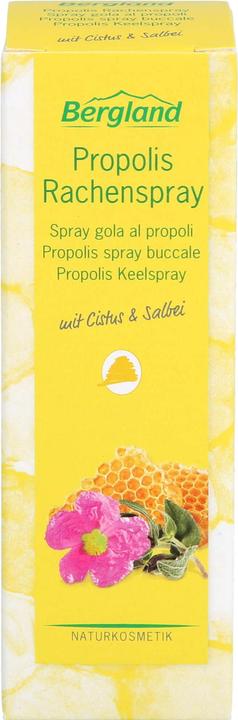 Image du produit Bergland Spray pharyngé à la propolis, solution de 20 ml (20 ml)
