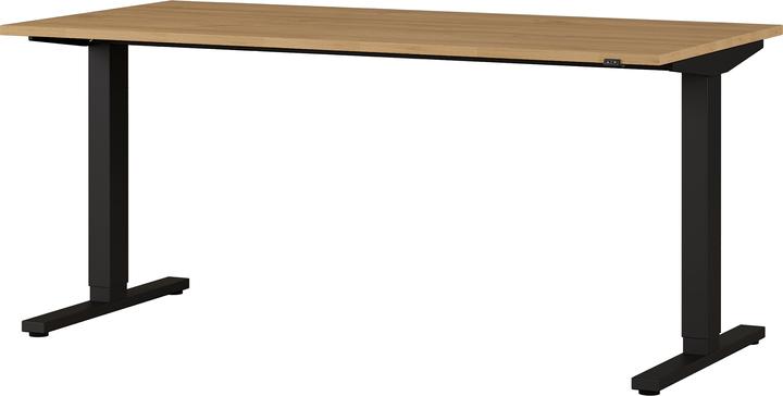 Germania Agenda (160 x 73 cm)