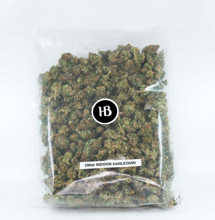 Produktbild Herba di Berna Harlequin (250 g, Indoor)