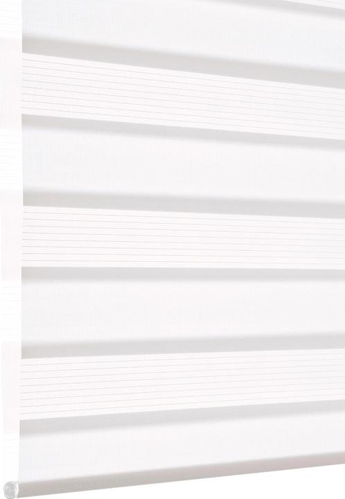 Produktbild Gardinia Easyfix Doppelrollo (120 x 150 cm)