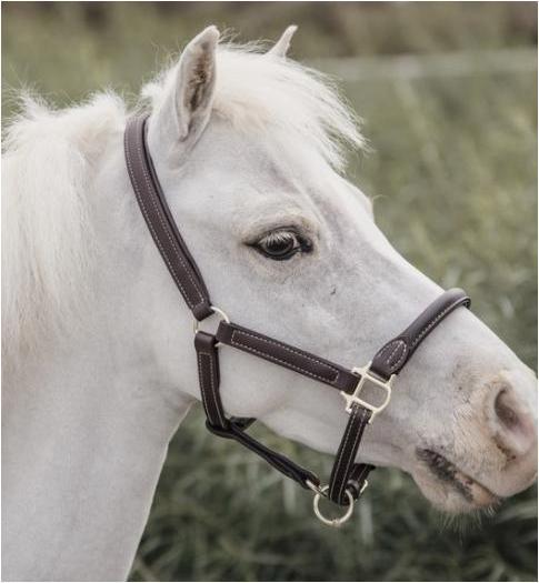 Actual product image Kentucky Horsewear Pony leather halter