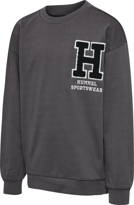 Image du produit hummel hmlALLTON SWEATSHIRT (152)