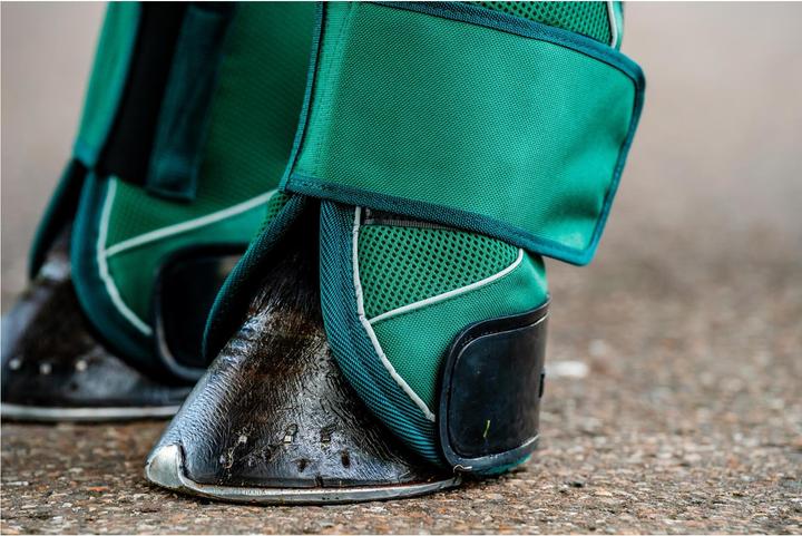Immagine prodotto Horseware Ghette da trasporto Signature