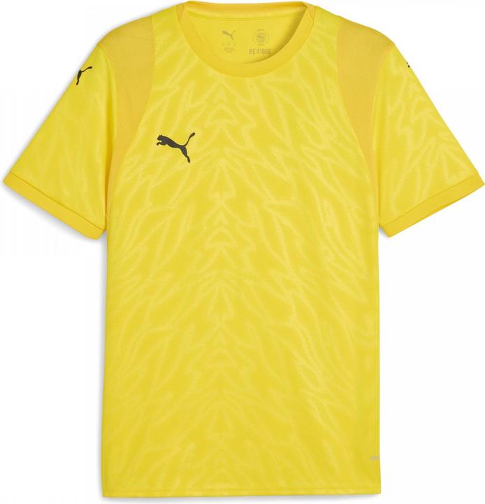 Puma teamCUP Jersey