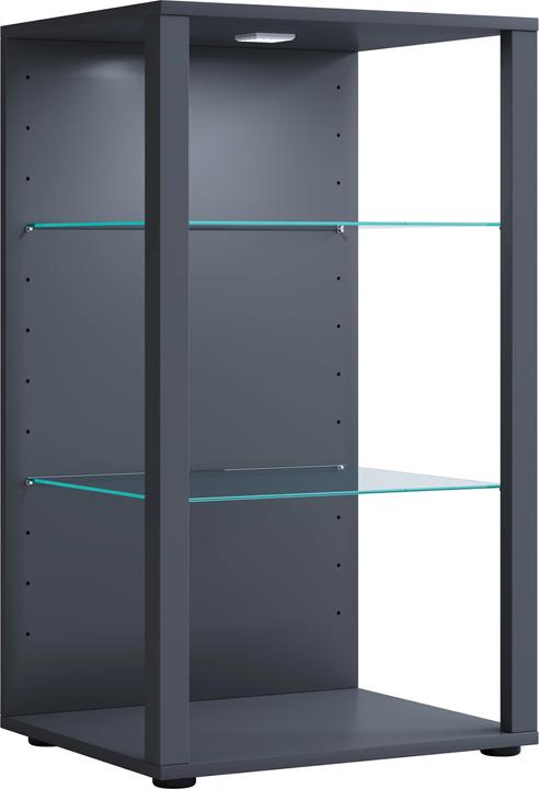 VCM Holz Glas Vitrine Sammelvitrine Glasvitrine Schaukasten Standvitrine Glasol XL (52 x 44 x 90 cm)
