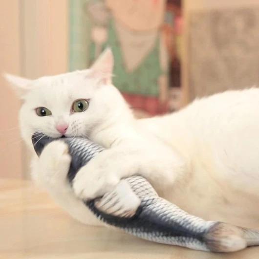 Produktbild PhoneLook Katzen Spielzeug Plüschtier Tanzender Fisch Haustier Unterhaltungs Spiel (Plüschspielzeug Katze)