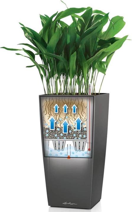 Produktbild Lechuza Cubico (50 cm)
