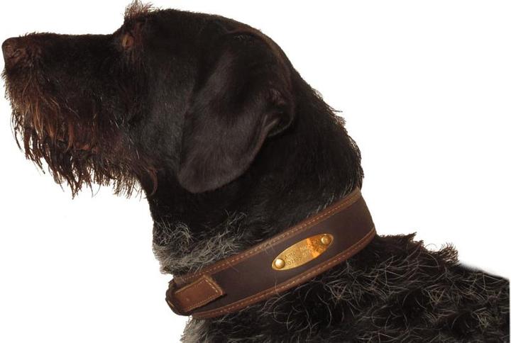 Produktbild Niggeloh Lederhalsung individuell XS (XS, S, M, Hund)