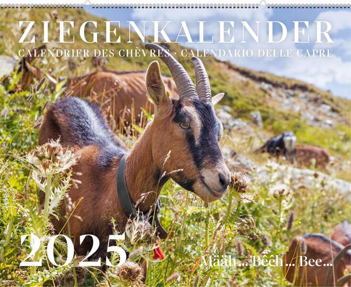 Ziegenkalender / Calendrier des chèvres / Calendario delle capre 2025 (Kein Einband, Deutsch, Französisch, Italienisch)
