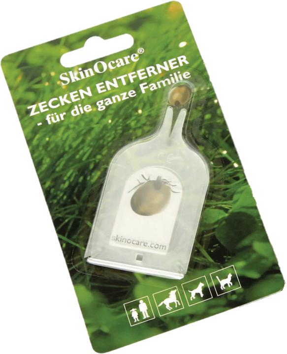 Actual product image Nippes Tick card, 72 x 40 mm