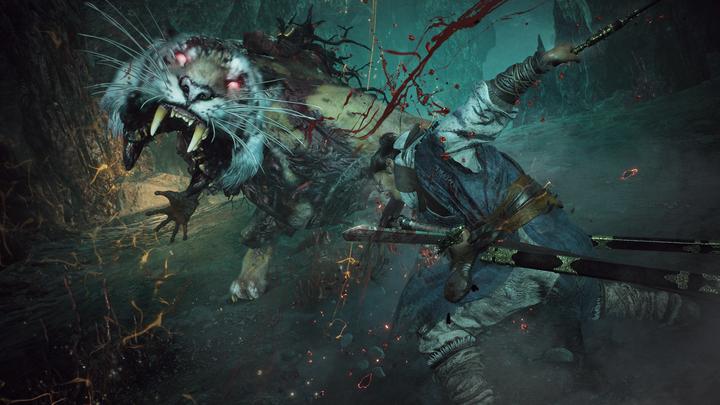 Image du produit Microsoft C2C Wo Long Fallen Dynasty Digital Deluxe Edition CH (Xbox Series X, Xbox Series S)
