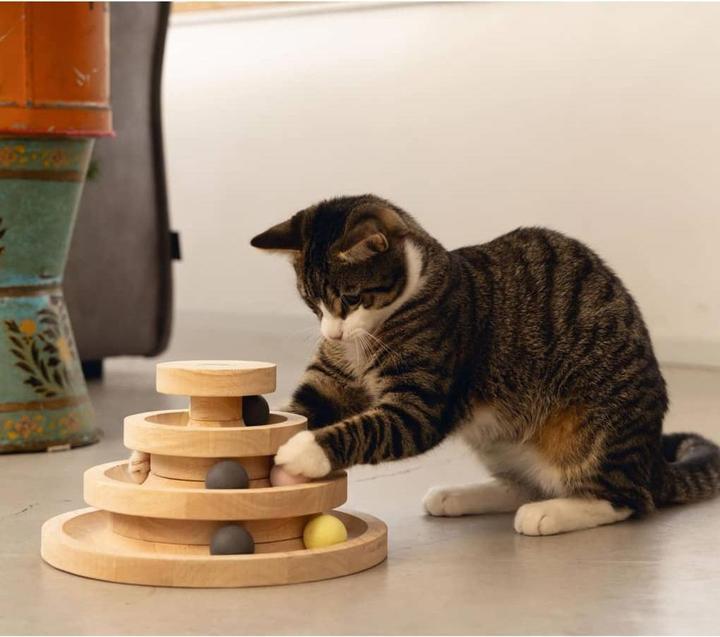 Actual product image Designed by Lotte Mia (Cat ball toy)