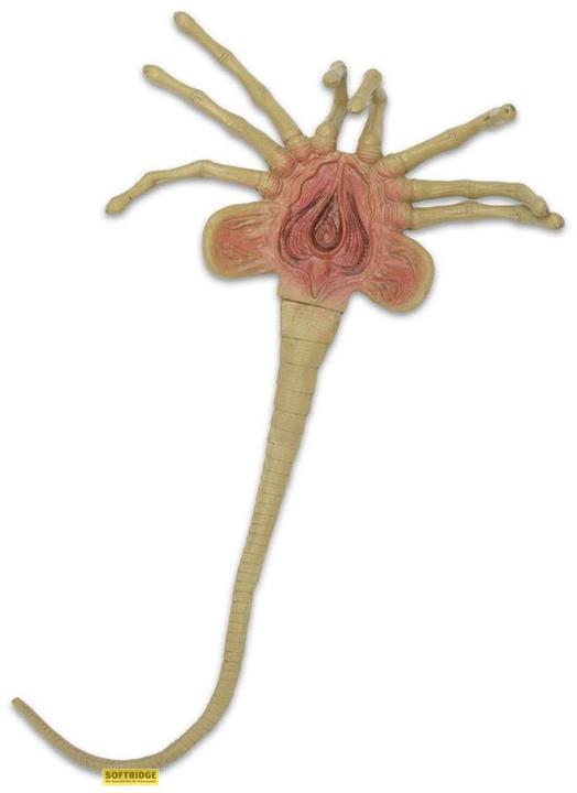 Image du produit Neca Aliens : 1/1 Facehugger