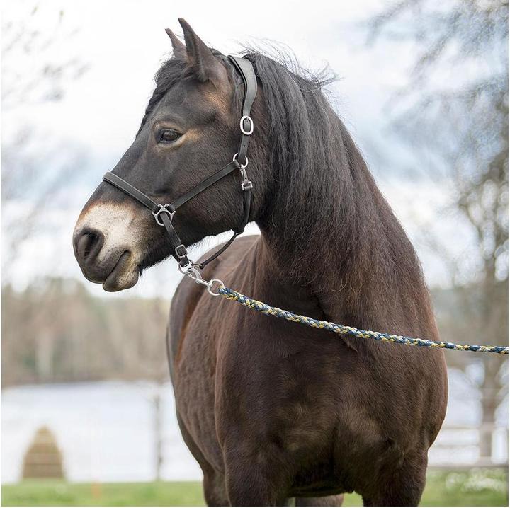 Immagine prodotto Soulhorse Elegantes Lederhalfter aus Fettleder
