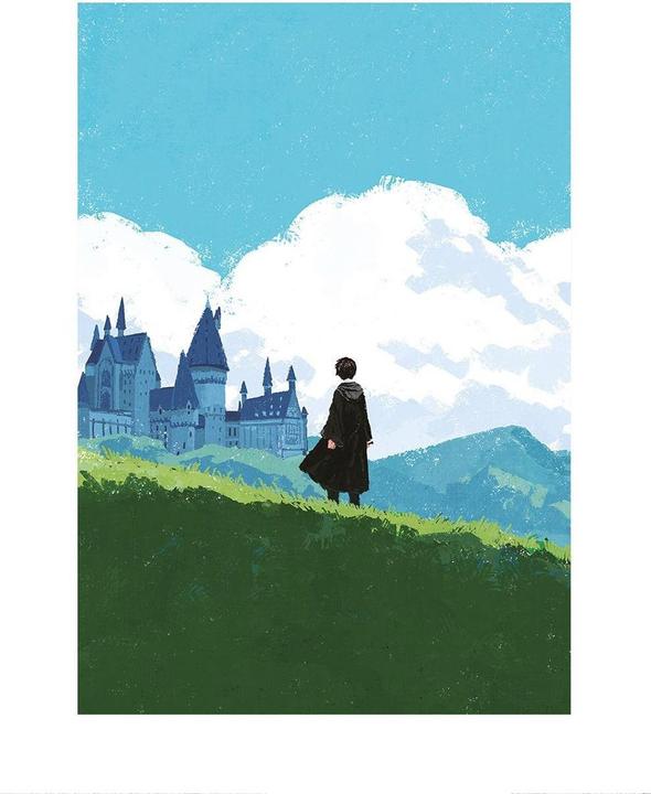Produktbild Harry Drucken (40 x 30 cm)