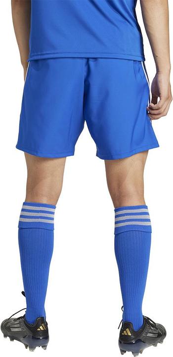 Actual product image adidas Tastigo25 Short (S)