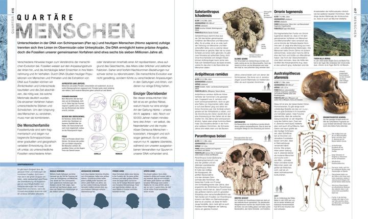 Produktbild Dinosaurier und andere Lebewesen der Urzeit (Deutsch, Dr. Andrea Kamphuis, DK Verlag, Eva Sixt, Fiona Coward, Stephan Matthiesen, Douglas Palmer, Kim Dennis-Bryan, Jason Anderson, David Burnie, Darren Naish, Paul Kenrick, 2020)