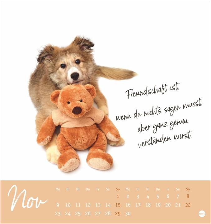 Actual product image Ziemlich beste Freunde Postkartenkalender 2026 - Für immer dein (Hardcover, German)
