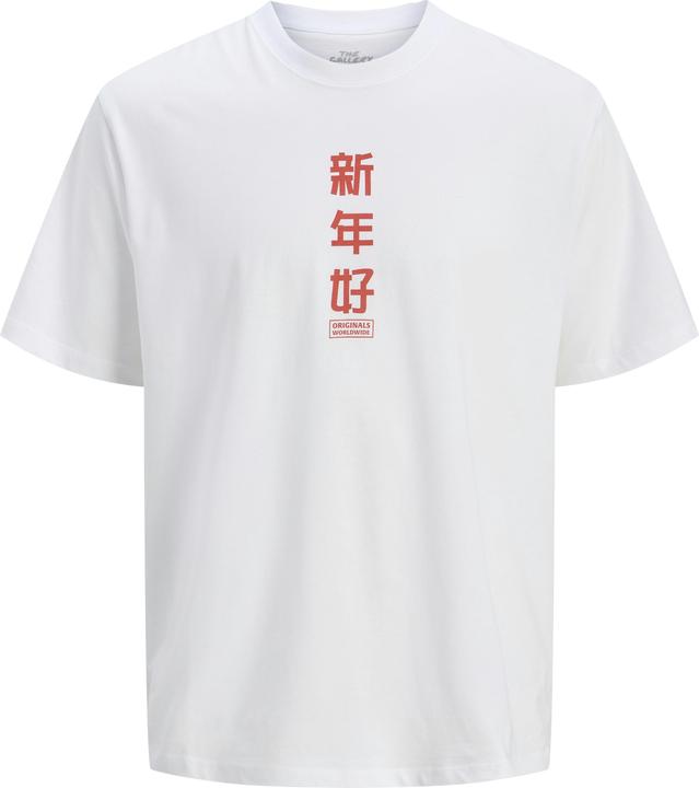 Image du produit Jack & Jones Jorsnake Tee Ss Crew Neck Tg Ln (XXL)
