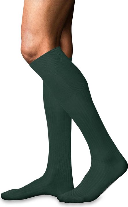 Produktbild Falke No. 10 KH (41 - 42)