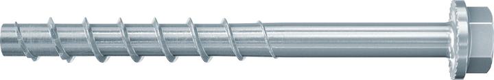 Fischer Betonschraube (50 Stk.)
