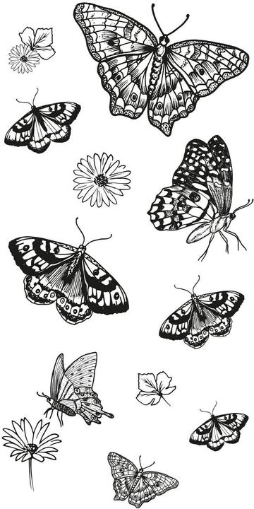 Immagine prodotto Sizzix Set di francobolli trasparenti "Farfalle della natura