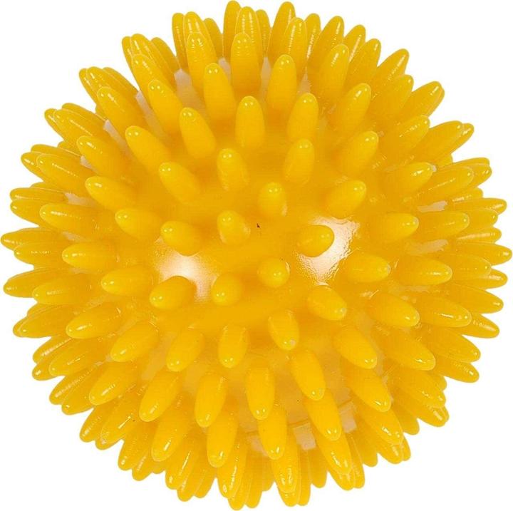 Produktbild Fispo Igel-Ball