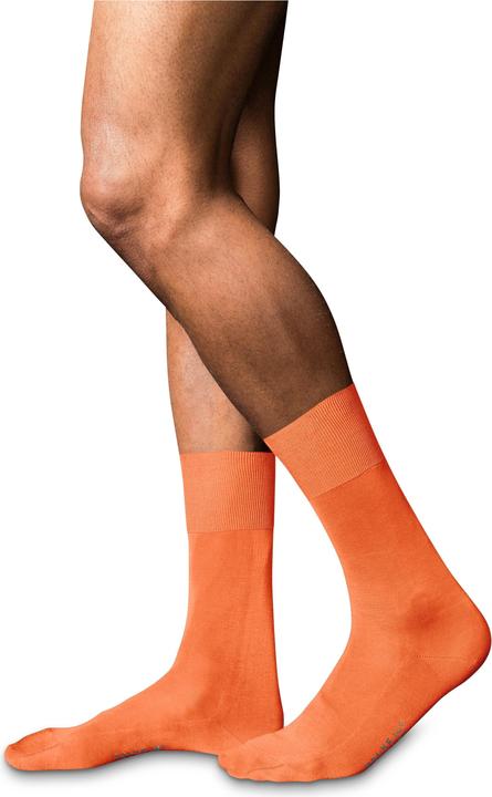 Actual product image Falke No. 9 SO (43 - 44)