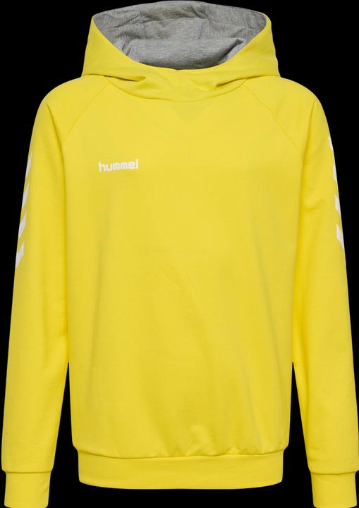 Immagine prodotto hummel Go Kids Felpa Con Cappuccio In Cotone (176)