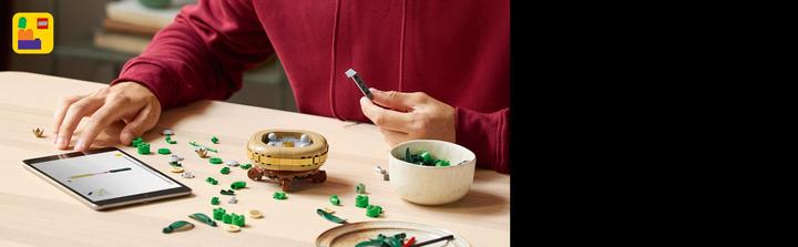 Productafbeelding LEGO Glücks-Bambus (10344, LEGO Icons)