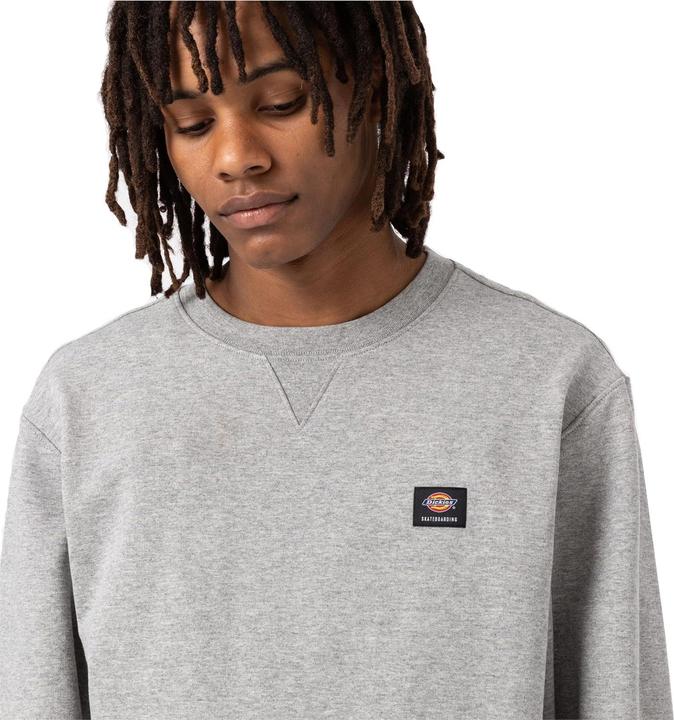 Immagine prodotto Dickies Mount Vista Crew (L)