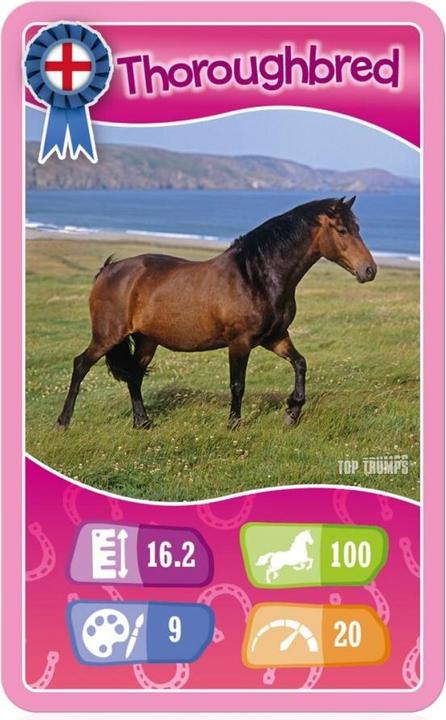 Produktbild Winning Moves Top Trumps Kartenspiel „Pferde, Ponys und Einhörner“.