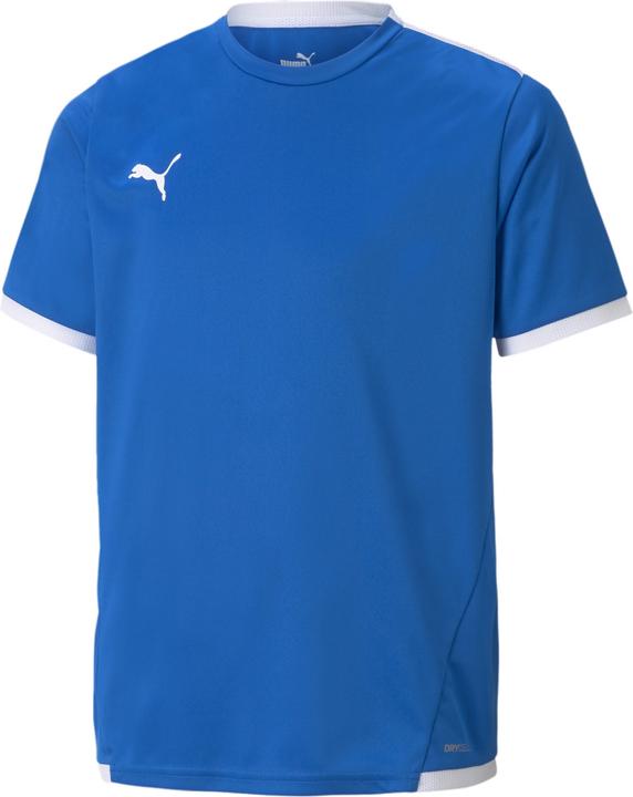 Puma teamLIGA Jersey Jr-704925