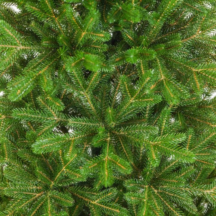 Produktbild Eve Xmas Naturgetreuer Weihnachtsbaum (185 cm)