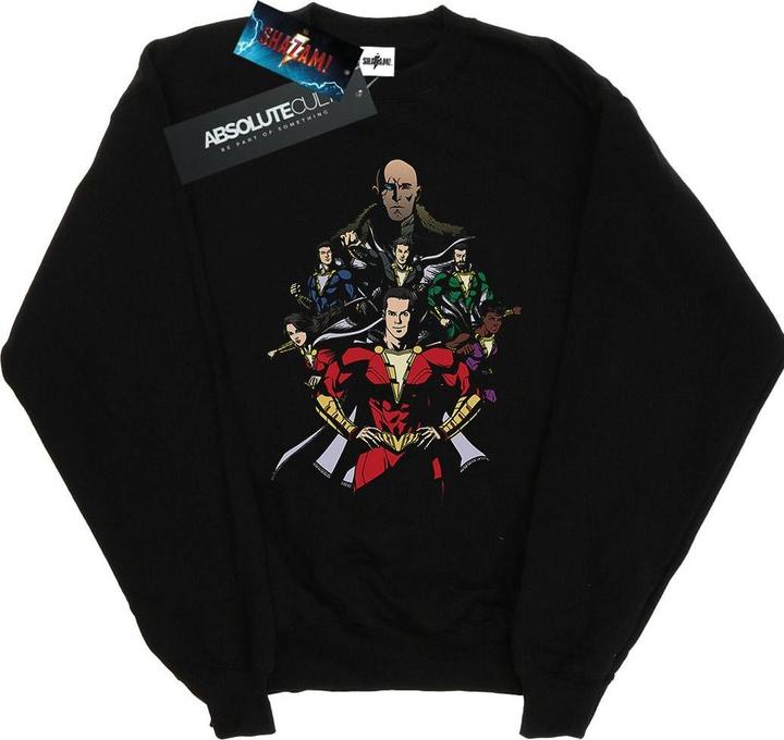 Shazam Team Up Sweatshirt (L)