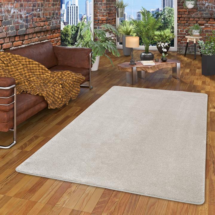 Produktbild Snapstyle Hochflor Luxus Velours Teppich Touch (80 x 400 cm)